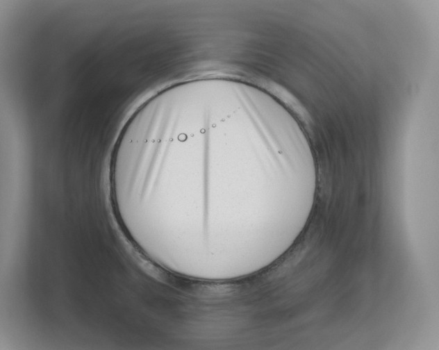 X0000112461431200909141049