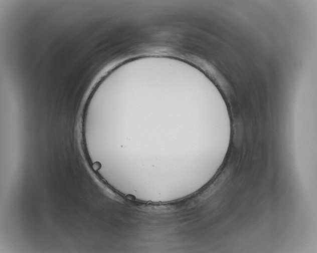 X0000112461432200909141049
