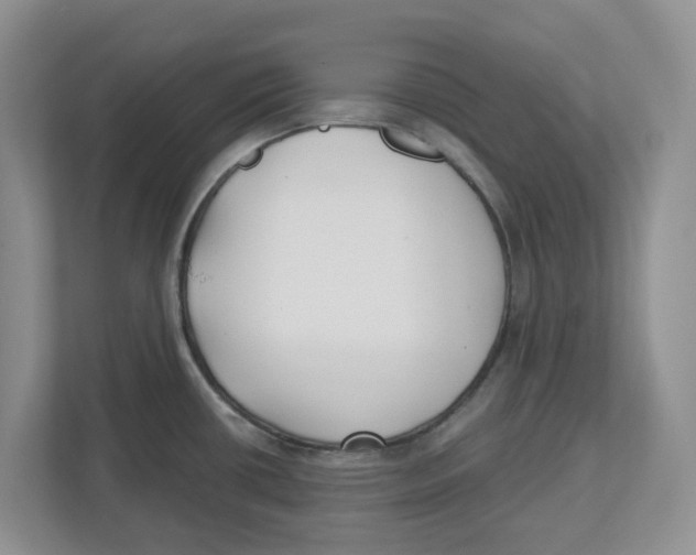 X0000112461434200909141049
