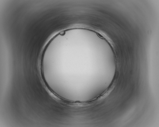 X0000112461438200909141049