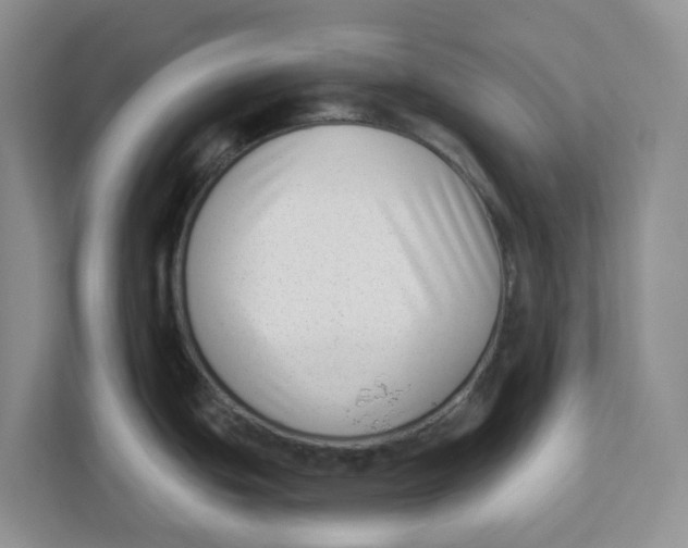 X0000112461439200909141049