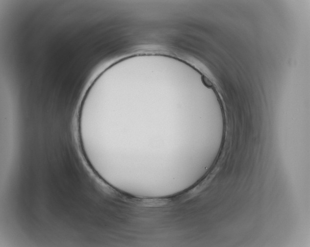 X0000112461440200909141049