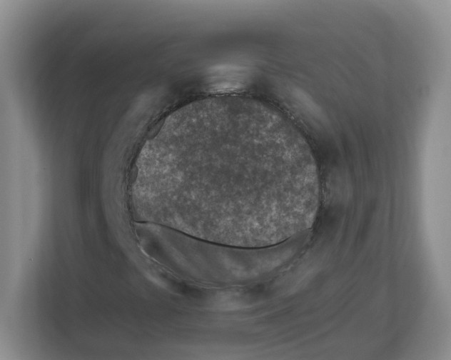 X0000112461441200909141049