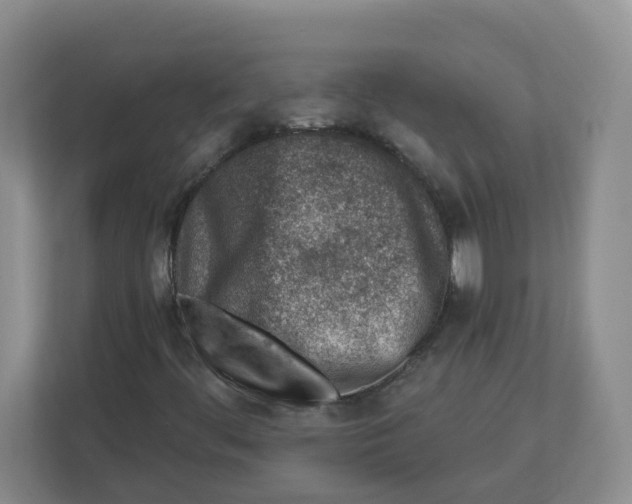 X0000112461444200909141049