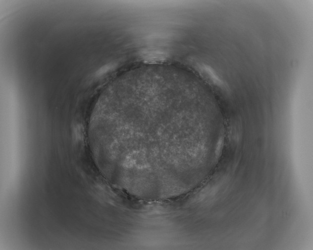 X0000112461445200909141049
