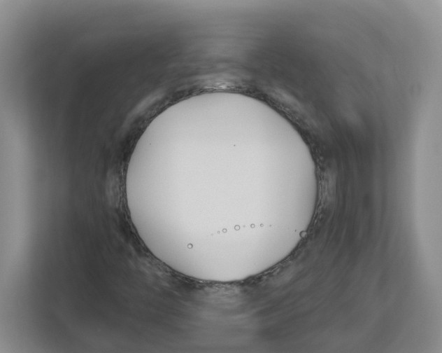 X0000112461446200909141049