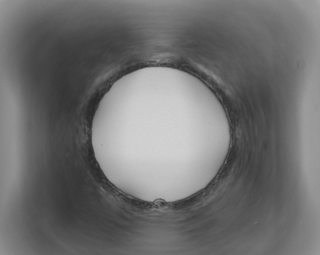 X0000112461447200909141049