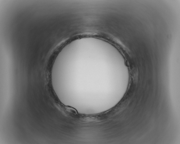 X0000112461448200909141049
