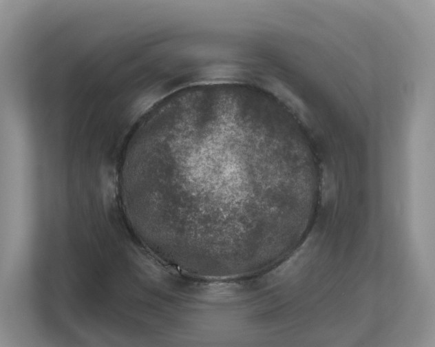 X0000112461449200909141048