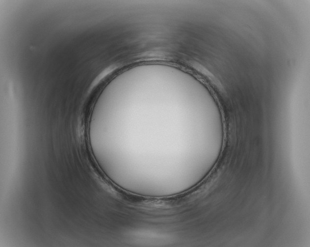 X0000112461450200909141048