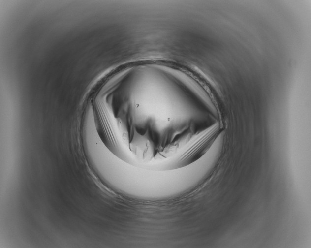 X0000112461452200909141048