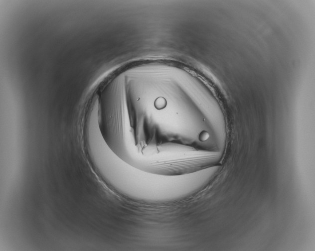 X0000112461456200909141048