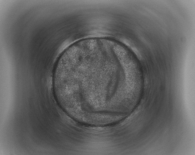 X0000112461459200909141048
