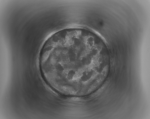 X0000112461463200909141048