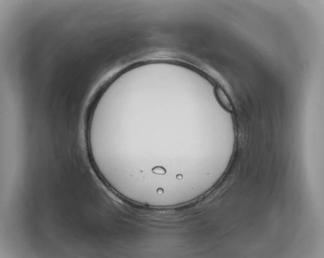 X0000112461464200909141048