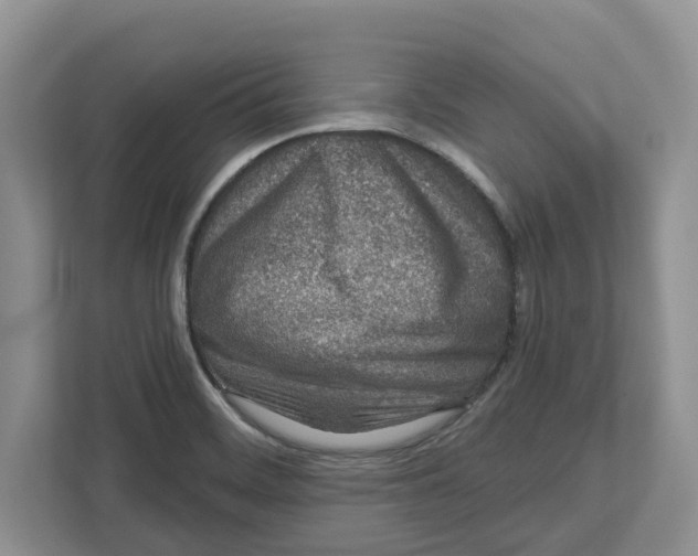 X0000112461468200909141048