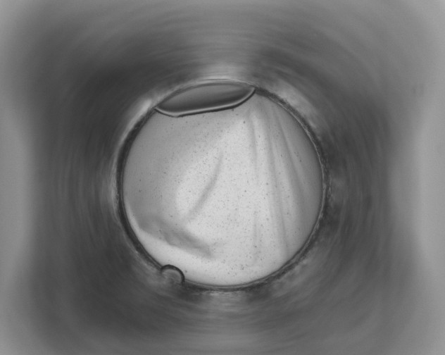X0000112461469200909141048