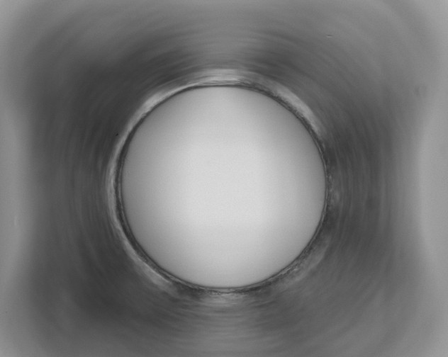 X0000112461475200909141048