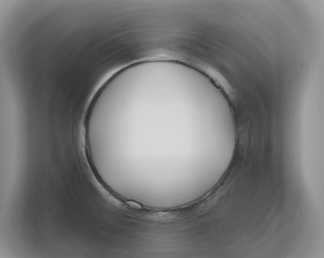 X0000112461476200909141048
