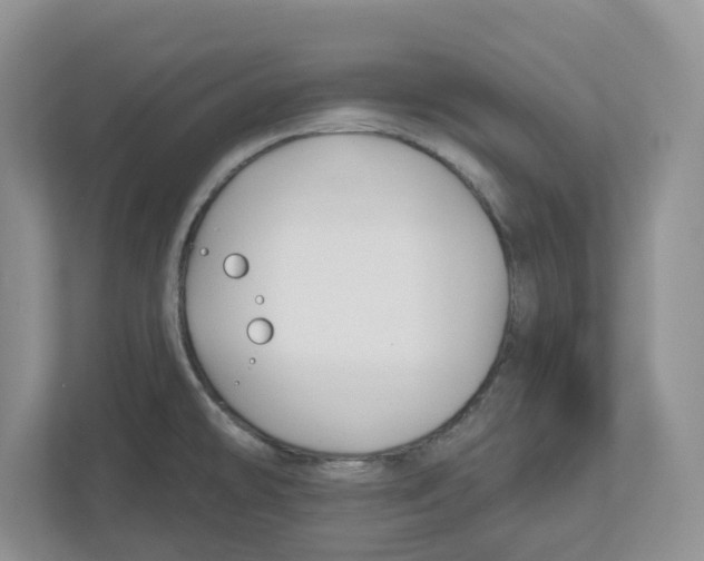 X0000112461478200909141048