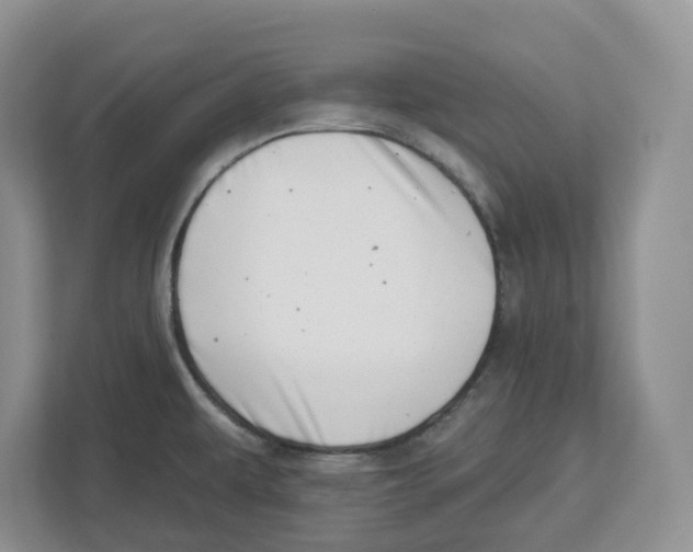 X0000112461479200909141048