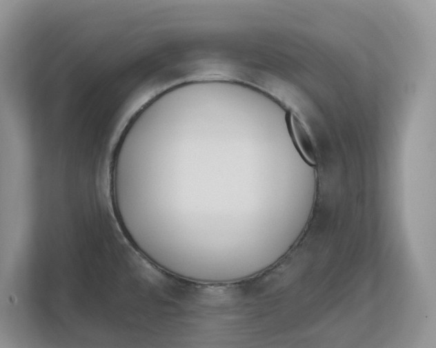 X0000112461480200909141048