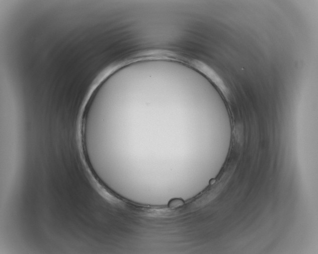 X0000112461482200909141048