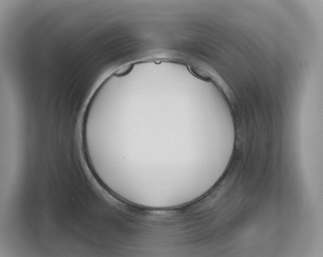 X0000112461483200909141048