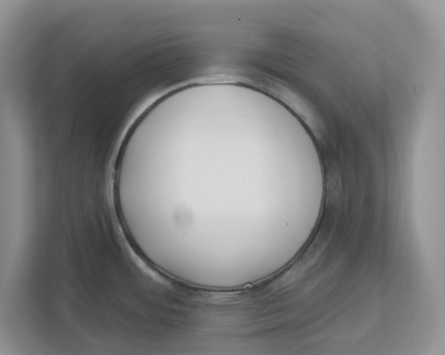 X0000112461484200909141048