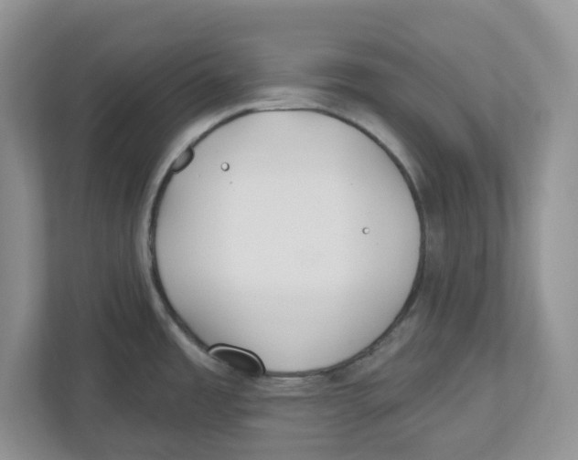 X0000112461485200909141048