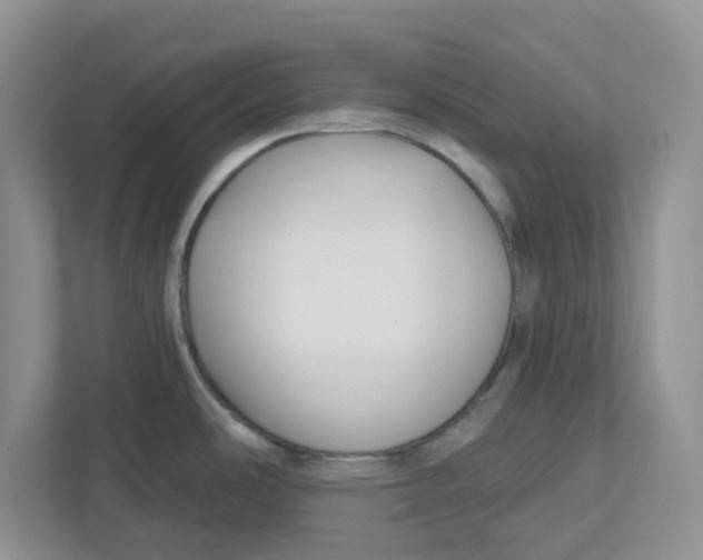 X0000112461486200909141048