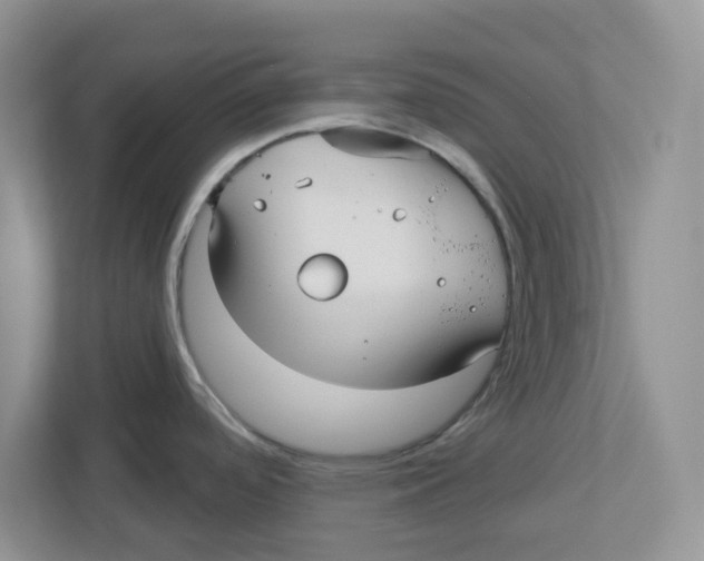 X0000112461488200909141048