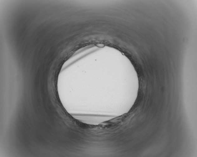 X0000112461489200909141047