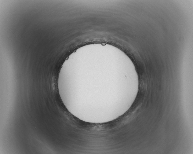 X0000112461490200909141047