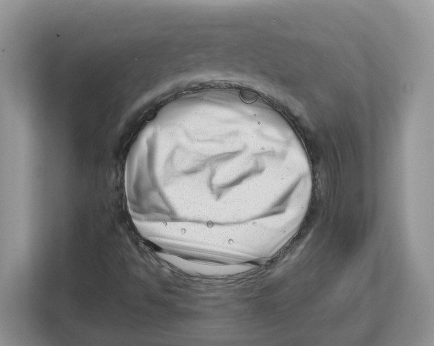 X0000112461494200909141047