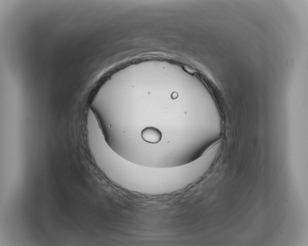 X0000112461496200909141047