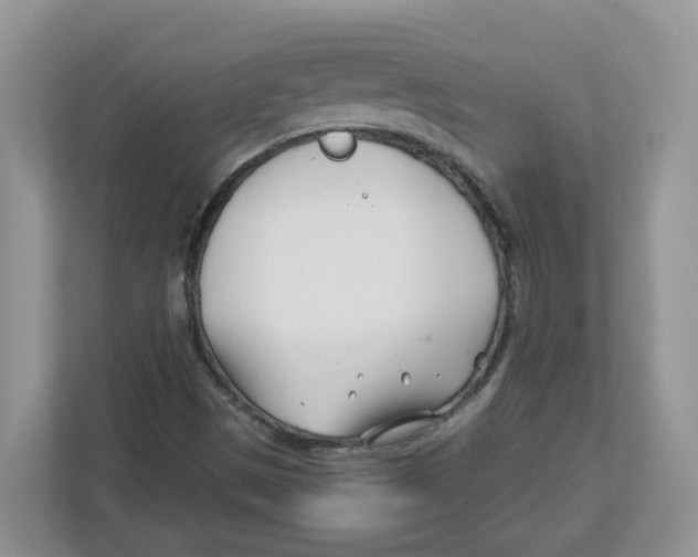 X0000112461497200909141047