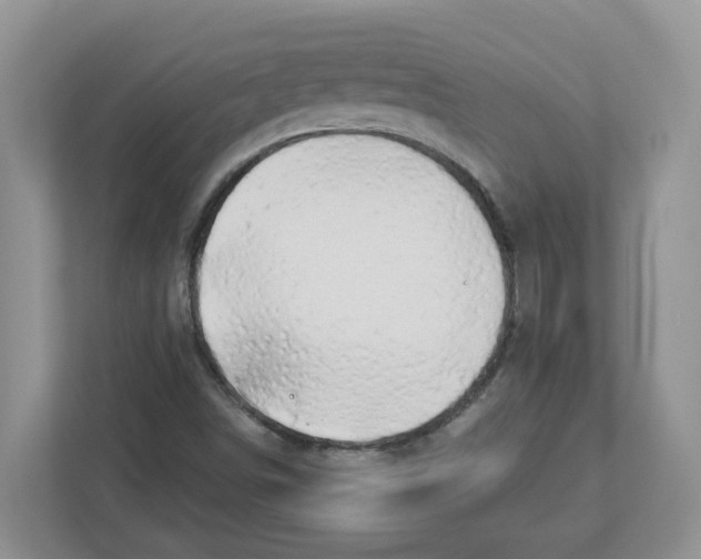 X0000112461498200909141047
