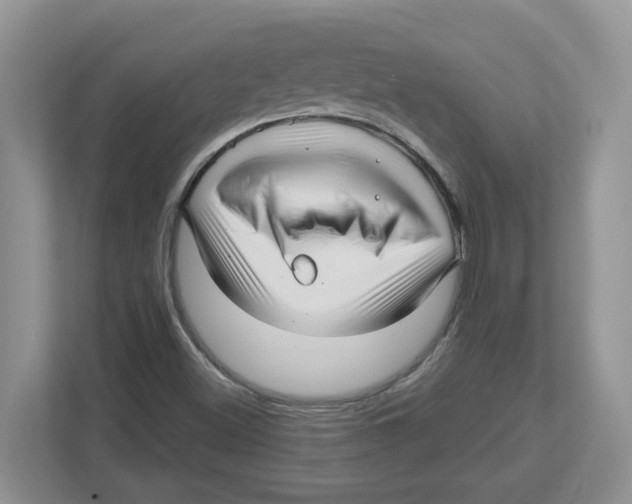 X0000112461500200909141048