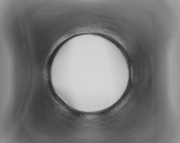 X0000112461501200909141048