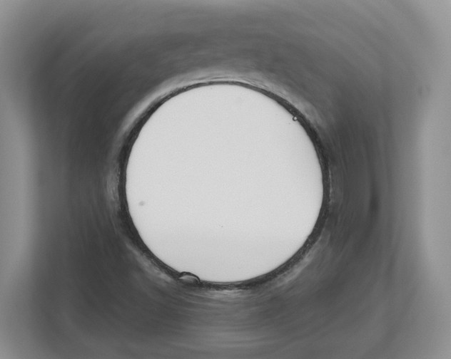 X0000112461502200909141048
