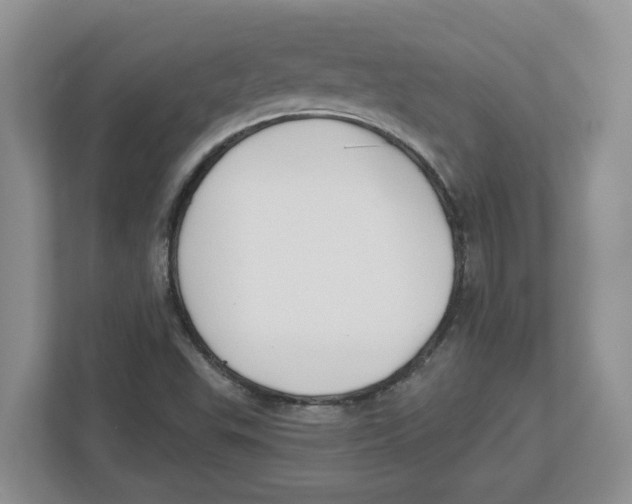 X0000112461503200909141048