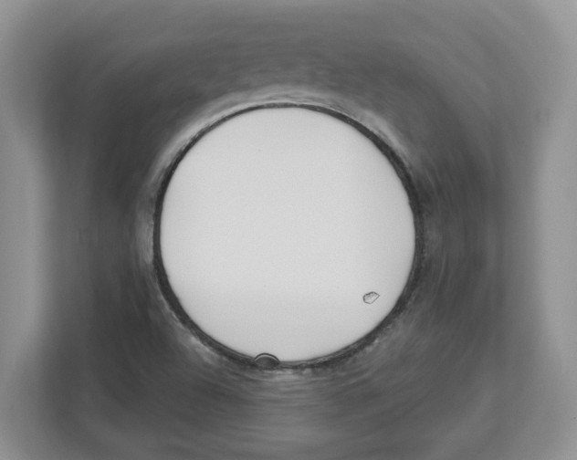 X0000112461504200909141048