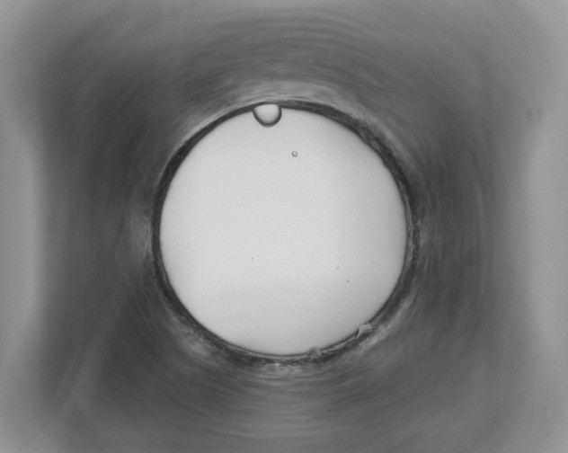 X0000112461505200909141048