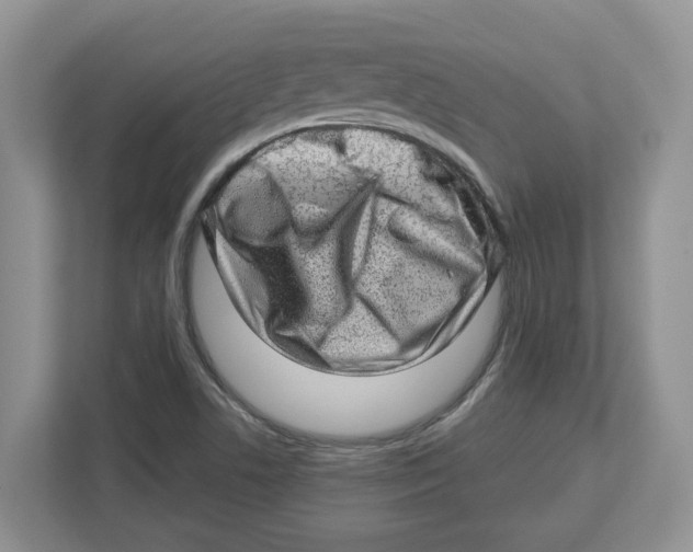X0000112461506200909141048