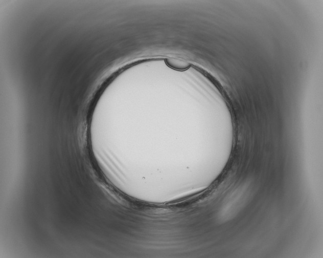 X0000112461507200909141048