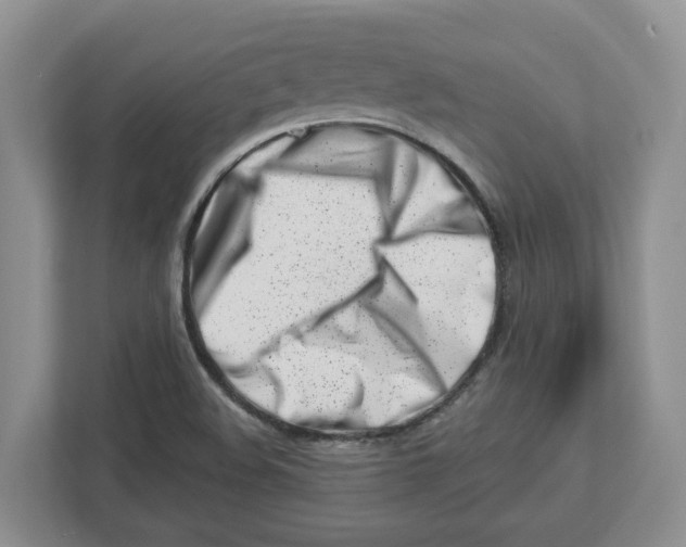 X0000112461508200909141048