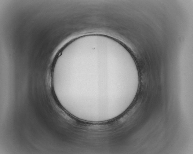 X0000112461510200909141048