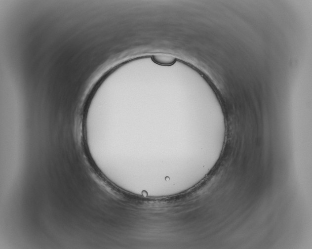X0000112461511200909141048