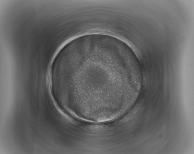 X0000112461515200909141048